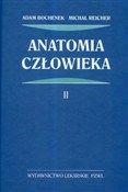 Anatomia c... - Adam Bochenek, Michał Reicher -  Książka z wysyłką do UK