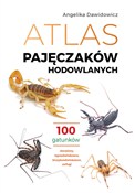 Książka : Atlas paję... - Angelika Dawidowicz