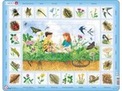 Pole -  books in polish 