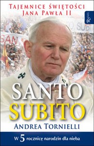 Picture of Santo Subito!