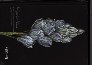 Picture of Notes szkicownik A6 Hiacynt