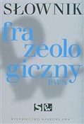 polish book : Słownik fr... - Anna Kłosińska