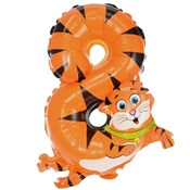 polish book : Balon foli...