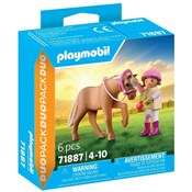 Playmobil ... -  Polish Bookstore 