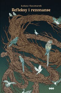 Picture of Refleksy i rezonanse