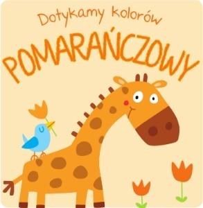 Picture of Dotykamy kolorów Pomarańczowy