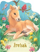 Zobacz : Źrebak - Rosalee Wren
