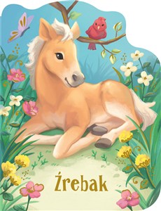 Obrazek Źrebak