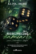 polish book : Niebezpiec... - K. A. Zysk, Ana Rose