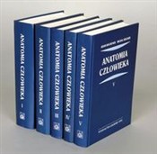 Anatomia c... - Adam Bochenek, Michał Reicher - Ksiegarnia w UK