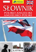 Słownik po... - Kamila Anna Henger -  foreign books in polish 