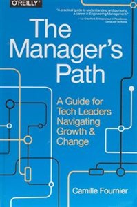 Picture of The Manager`s Path