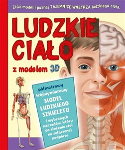 Obrazek Ludzkie ciało z modelem 3D