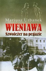 Obrazek Wieniawa Szwoleżer na pegazie