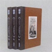 Cmentarz p... - Kazimierz Władysław Wójcicki -  books from Poland