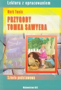 Obrazek Przygody Tomka Sawyera