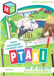 Picture of Jak ze zdjęcia kolorowanka Ptaki