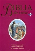 Biblia dla... - Edward Materski, Zbigniew Niemirski - Ksiegarnia w UK