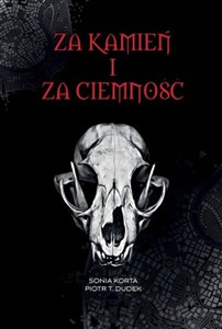 Obrazek Za kamień i za ciemność