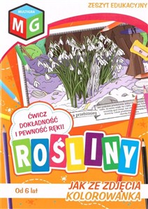 Picture of Jak ze zdjęcia kolorowanka Rośliny