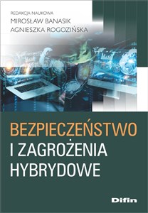 Obrazek Bezpieczeństwo i zagrożenia hybrydowe