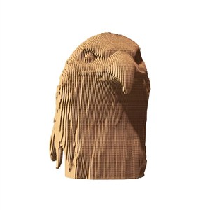 Obrazek Cartonic Puzzle 3D Eagle
