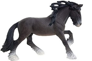 Obrazek Ogier rasy Shire