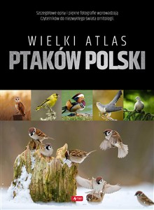 Obrazek Wielki atlas ptaków Polski