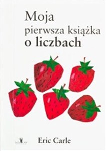 Obrazek Moja pierwsza książka o liczbach