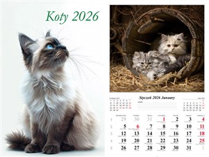 Obrazek Kalendarz 2026 ścienny 13-k Koty