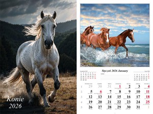 Obrazek Kalendarz 2026 ścienny 13-k Konie