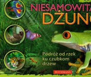 Obrazek Niesamowita dżungla Podróż od rzek ku czubkom drzew