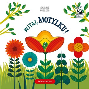 Obrazek Witaj, motylku! Dotknij natury