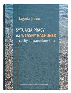 Picture of Sytuacja pracy na własny rachunek: cechy i uwarunkowania