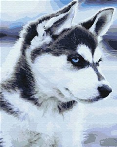 Picture of Malowanie po numerach Husky szczenie 40x50cm