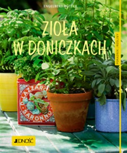 Obrazek Zioła w doniczkach