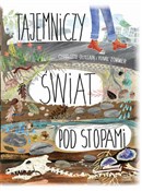 polish book : Tajemniczy... - Charlotte Guillain, Yuval Zommer