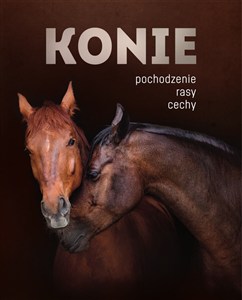 Obrazek Konie Pochodzenie, rasy, cechy