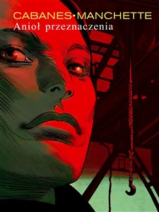 Obrazek Anioł przeznaczenia