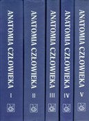 Zobacz : Anatomia c... - Adam Bochenek, Michał Reicher