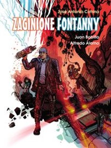 Picture of Zaginione Fontanny