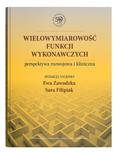 Obrazek Wielowymiarowość funkcji wykonawczych perspektywa rozwojowa i kliniczna