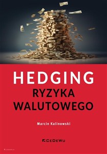 Obrazek Hedging ryzyka walutowego