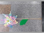 Książka : Wiatrak ne...