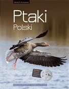 Książka : Ptaki Pols... - Andrzej G. Kruszewicz