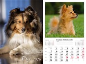 Polska książka : Kalendarz ...