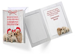 Picture of Karnet B6 Boże Narodzenie