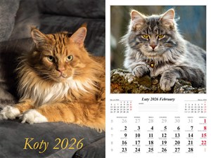 Picture of Kalendarz 2026 ścienny 7-k Koty