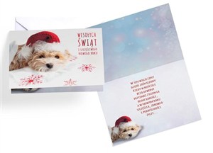 Picture of Karnet B6 Boże Narodzenie