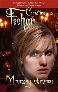 Picture of Mroczny obrońca